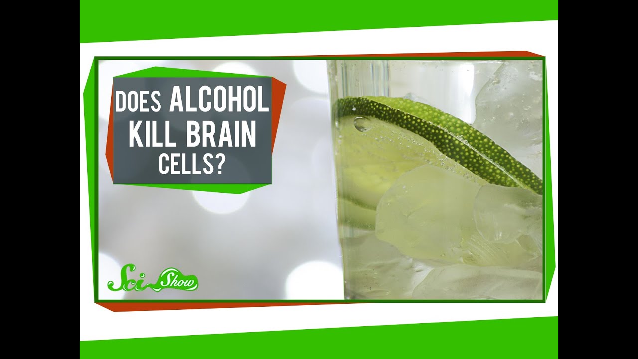 Zabíjí alkohol mozkové buňky?